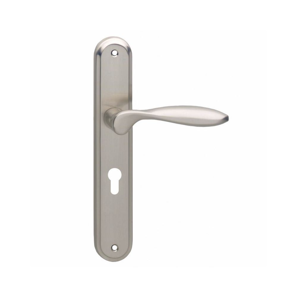 Deurkruk George schild profielcilinder nikkel mat 55mm