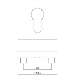 Intersteel Rozet vierkant met profielcilindergat 53x8mm - RVS