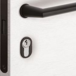 Cilinderrozet minimal 2mm rond - zwart