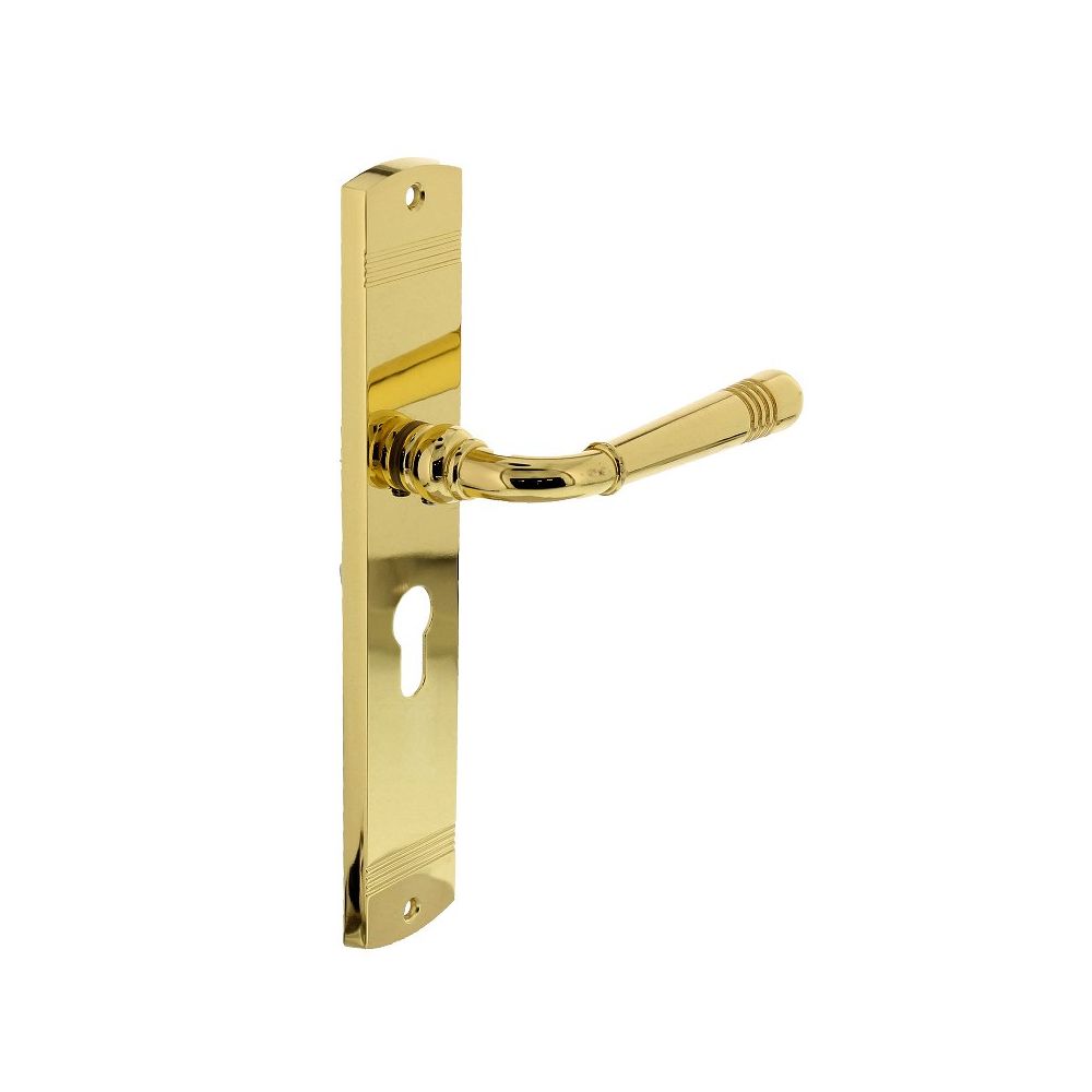 Deurkruk Emily op schild 235x45x8 mm met profielcilindergat 55 mm messing gelakt