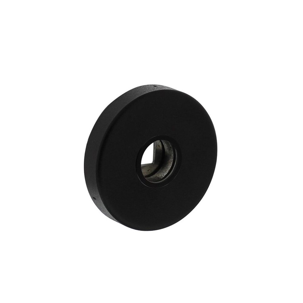 Intersteel Rozet verdekt geveerd met nokken 53x10mm massief RVS/zwart