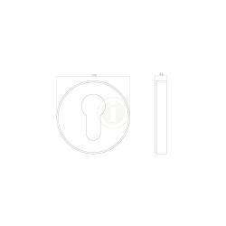 Rozet met profielcilindergat verdekt 53x9mm RVS