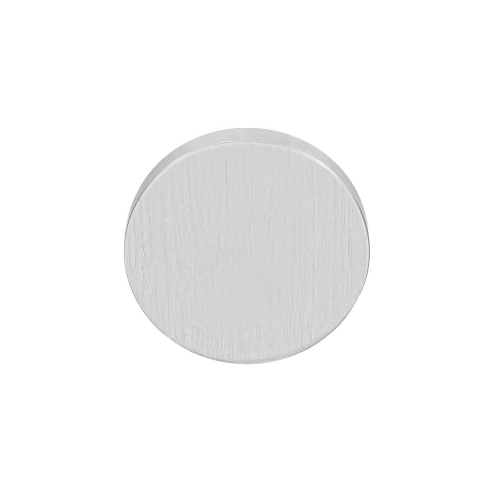 Blindplaatje Piet Boon INC PBIN53 - mat RVS