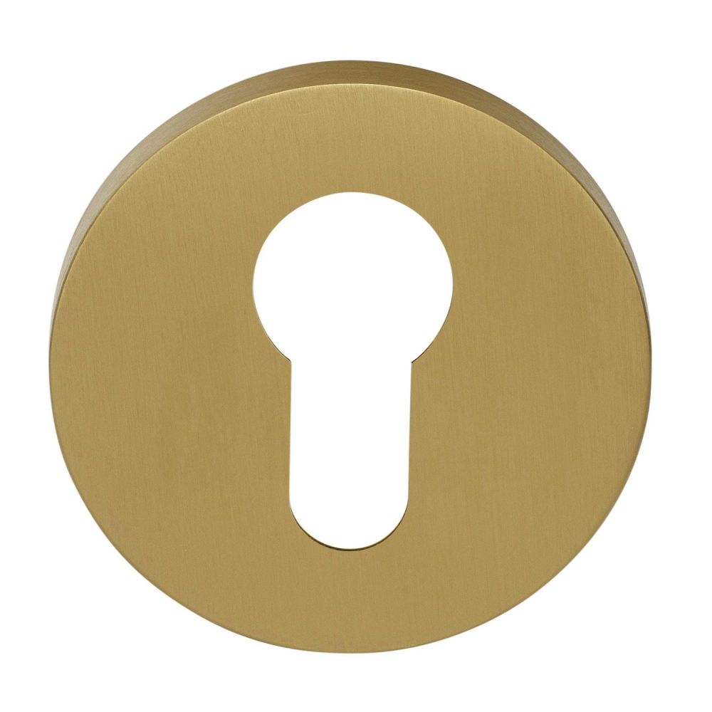 Cilinderplaatje David Rockwell ECLIPSE DRY53 - PVD mat goud