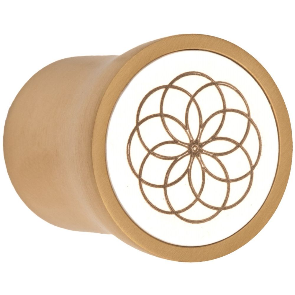 Meubelknop Edward van Vliet NOUR EV25M - PVD mat goud