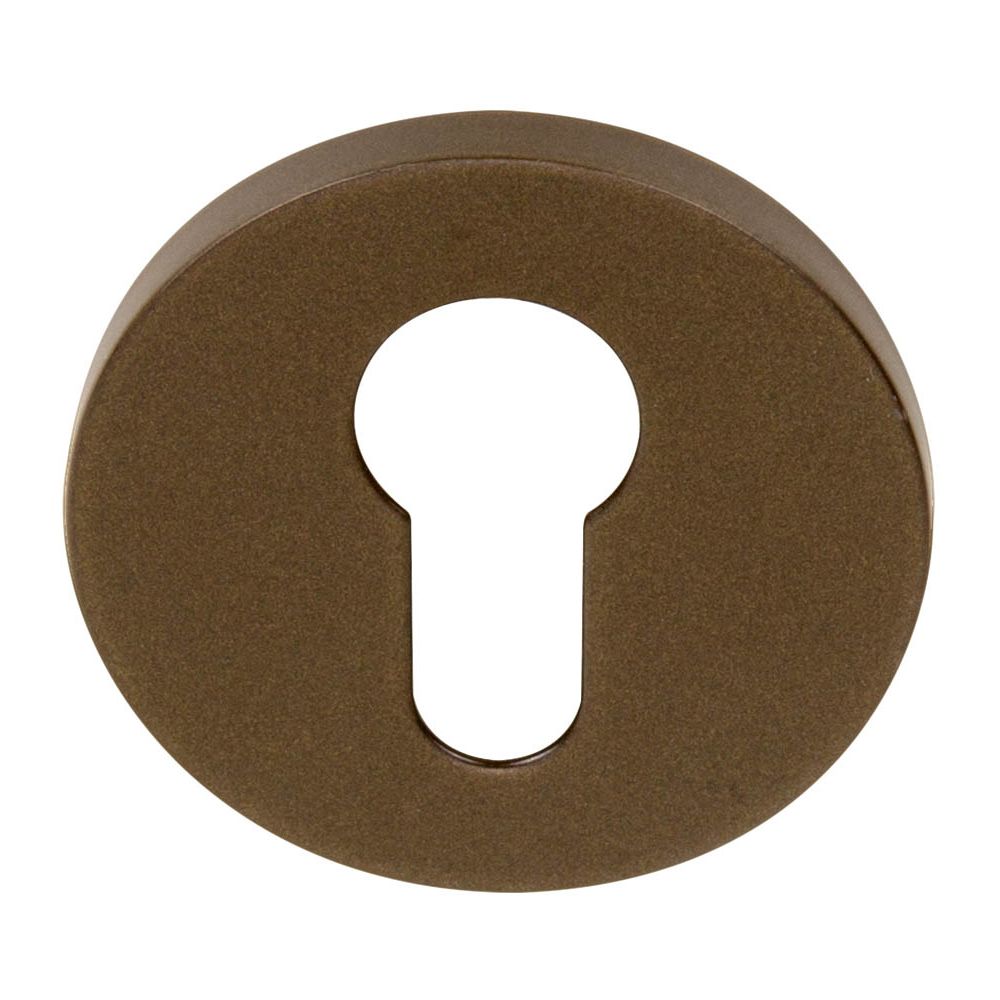 cilinderplaatje Bertram Beerbaum TENSE BBY53 - brons