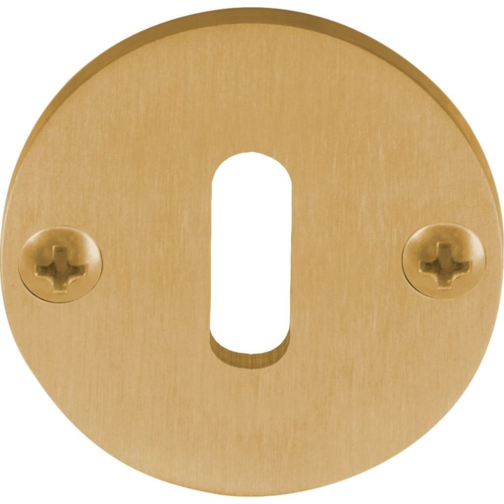 Sleutelplaatje Piet Boon ONE PBN50 - PVD mat goud