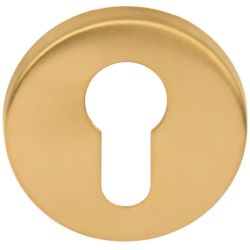 Cilinderplaatje BASICS LBY50 - PVD mat goud
