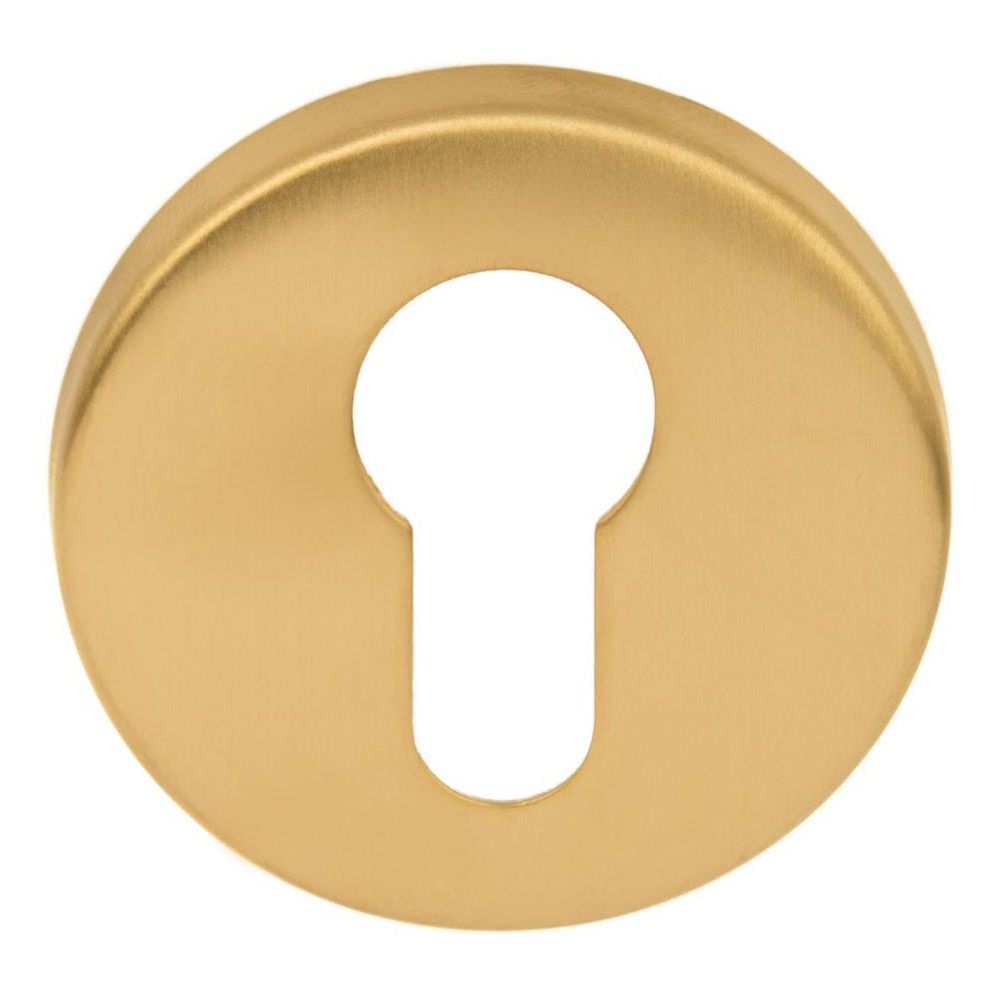 Cilinderplaatje BASICS LBY50 - PVD mat goud