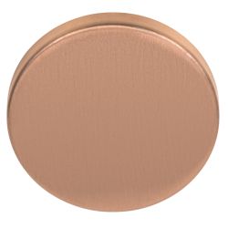 Blind plaatje BASICS LBB50 - PVD mat brons