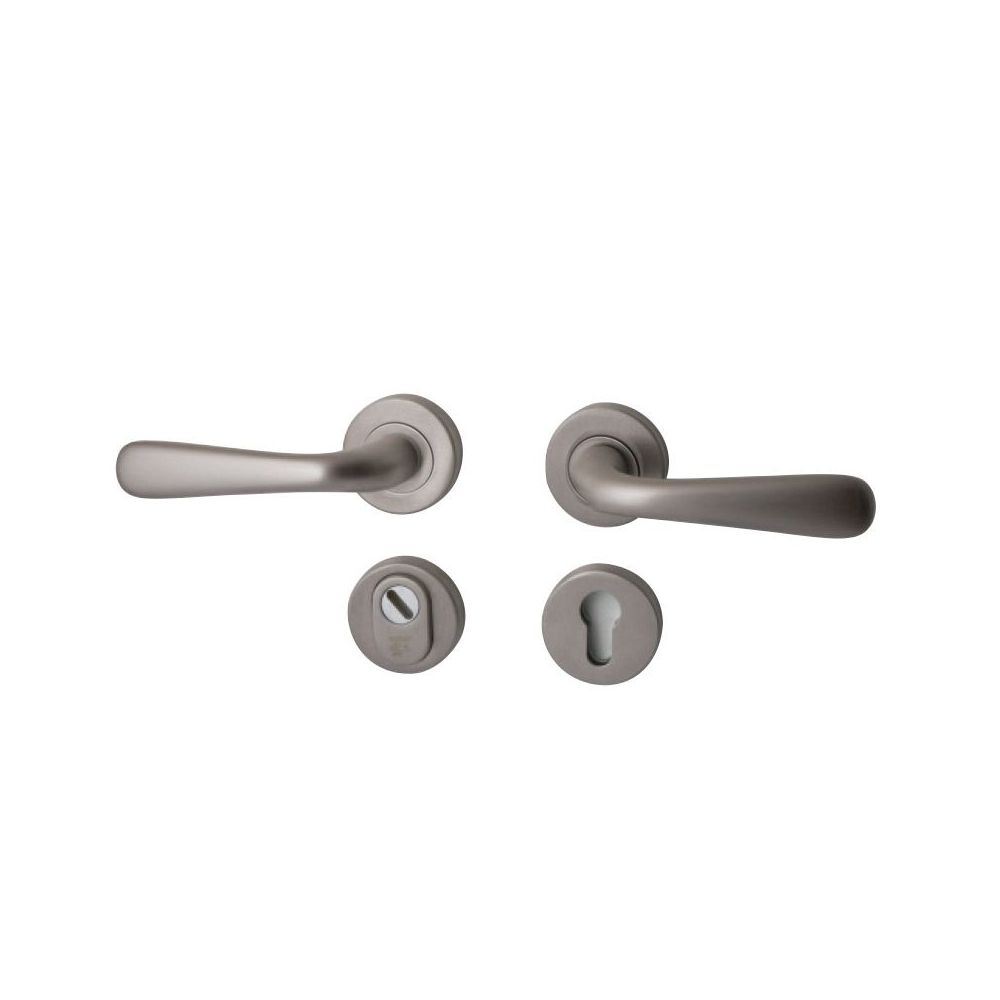 Achterdeurset Silvia compleet - PVD Inox