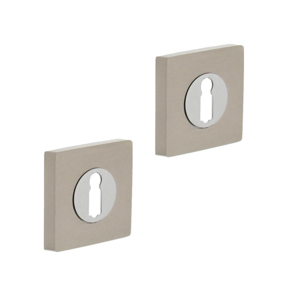 Intersteel sleutelrozetten vierkant verdekt 53x10mm met nokken chroom/nikkel mat