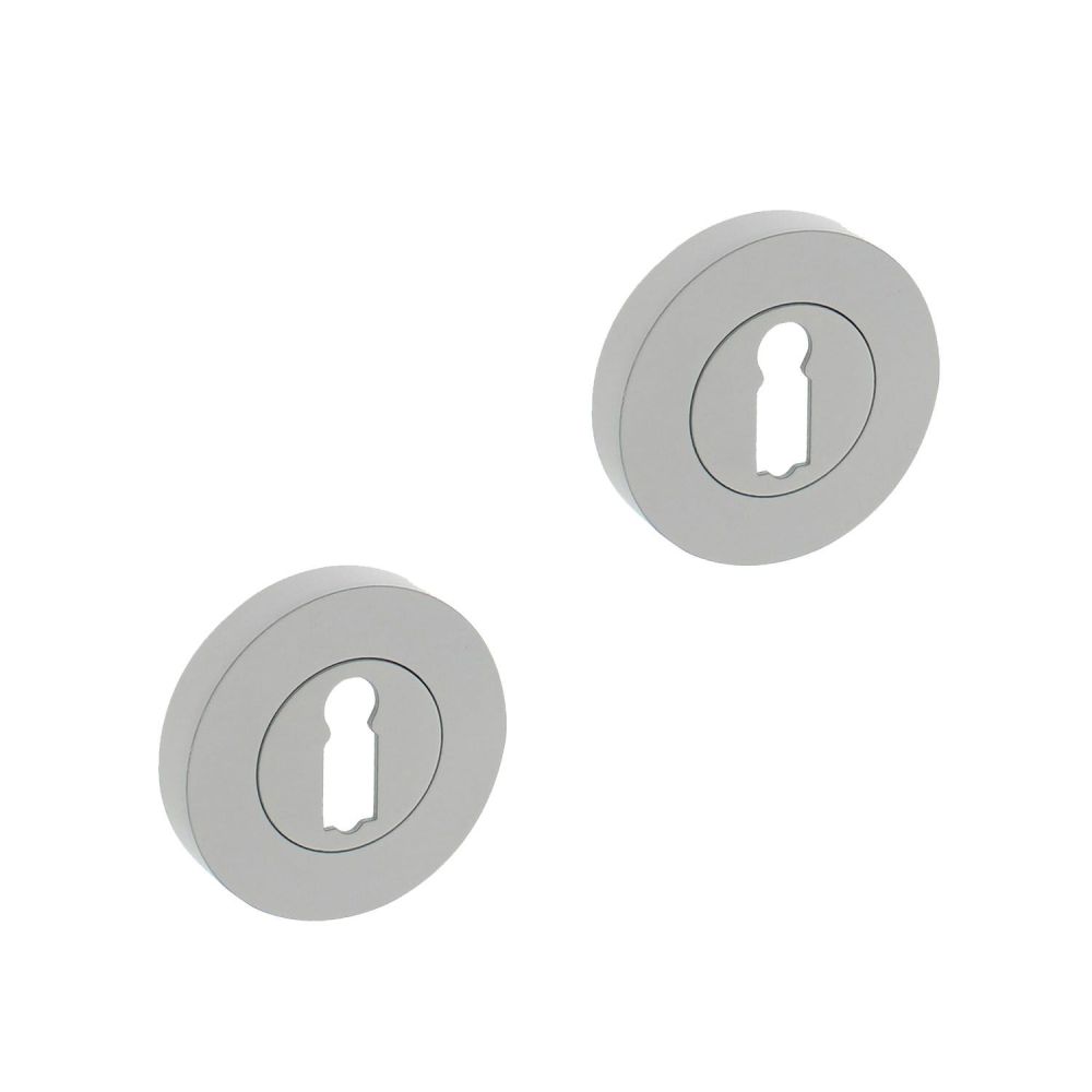 Intersteel sleutelgatrozetten verdekt 52x10mm met nokken - wit