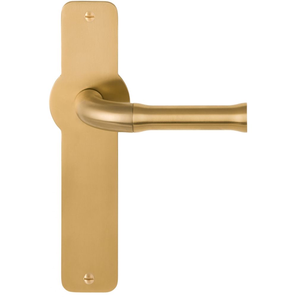 Deurkruk Edward van Vliet NOUR EV100P210SFC ongeveerd op schild blind - PVD mat goud