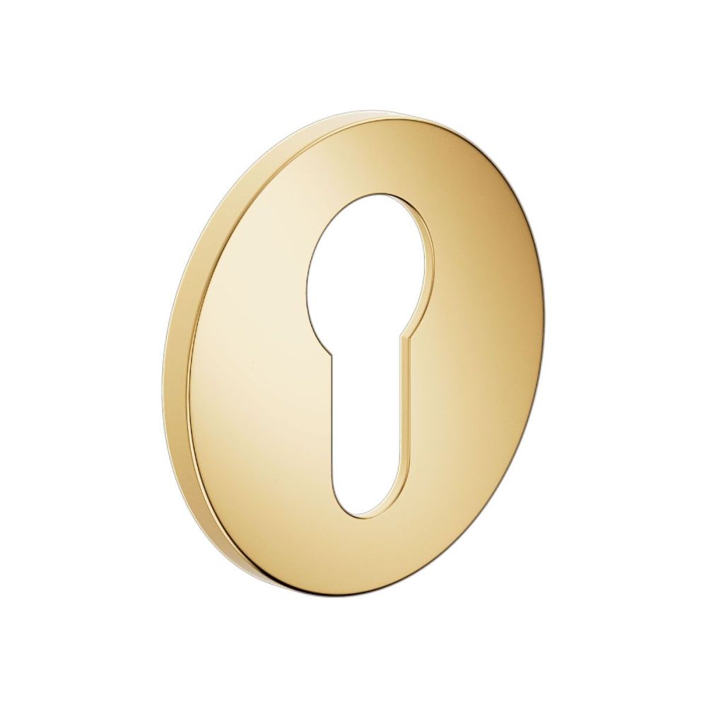 Fine cilinderrozetten - PVD glans goud