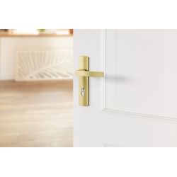 AXA Curve klik deurkruk Blok op schild profielcilindergat 72mm - aluminium/goud