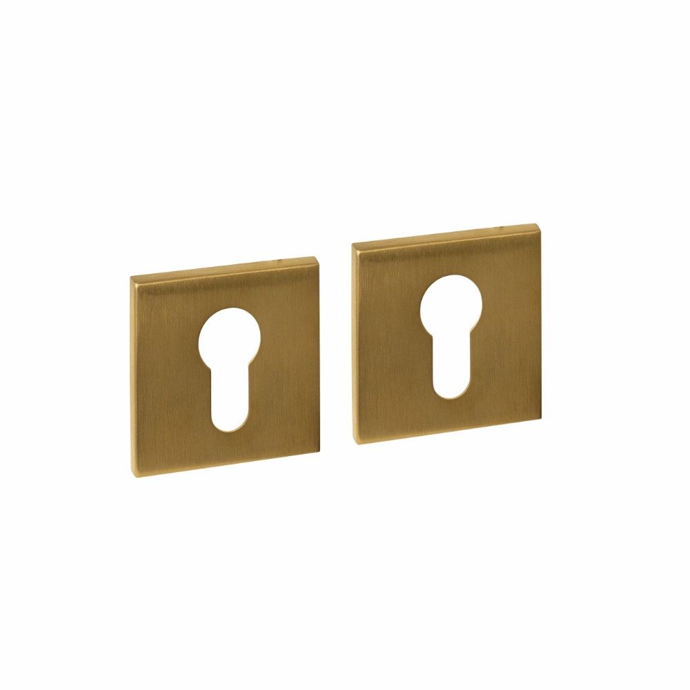 Intersteel cilinderrozetten vierkant verdekt 53x53x6mm -  PVD messing mat