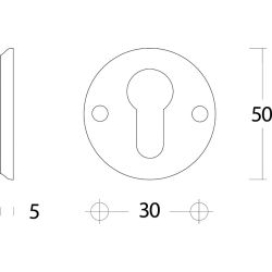 Intersteel rozetten met profielcilindergat schroefgat 50x5mm - chroom