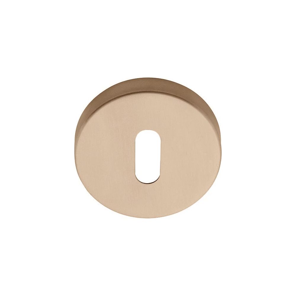 Sleutelplaatje BASICS LBN50D - PVD licht brons