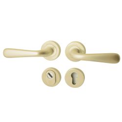 Achterdeurset Silvia compleet - PVD champagne goud