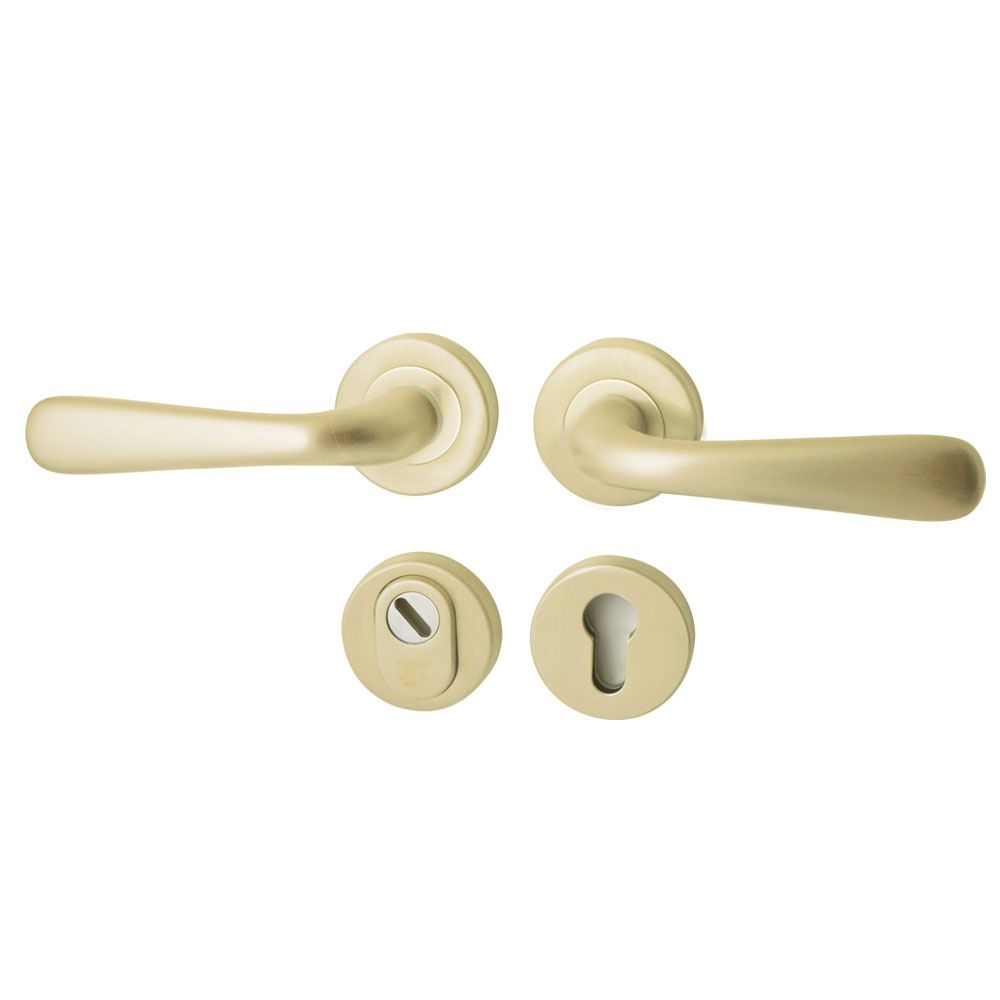 Achterdeurset Silvia compleet - PVD champagne goud