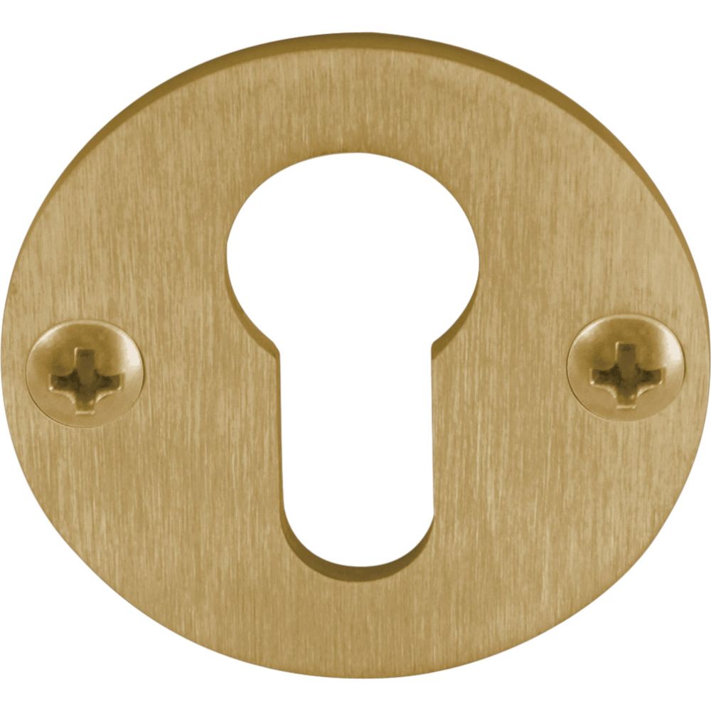 Cilinderplaatje Piet Boon ONE PBY50 - PVD mat goud