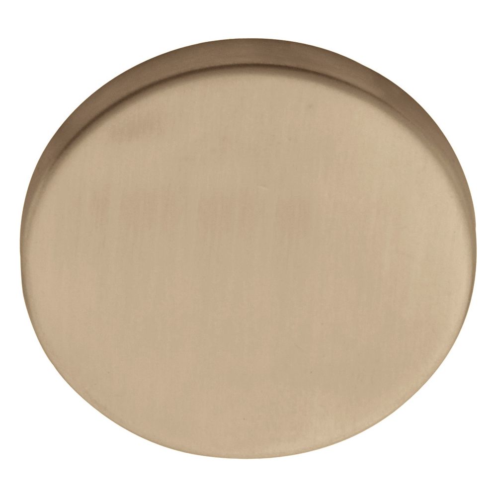 Blind plaatje BASICS LBB50 - PVD licht brons