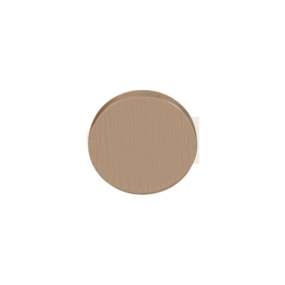 Blindplaatje Piet Boon INC PBIB53 - PVD licht brons