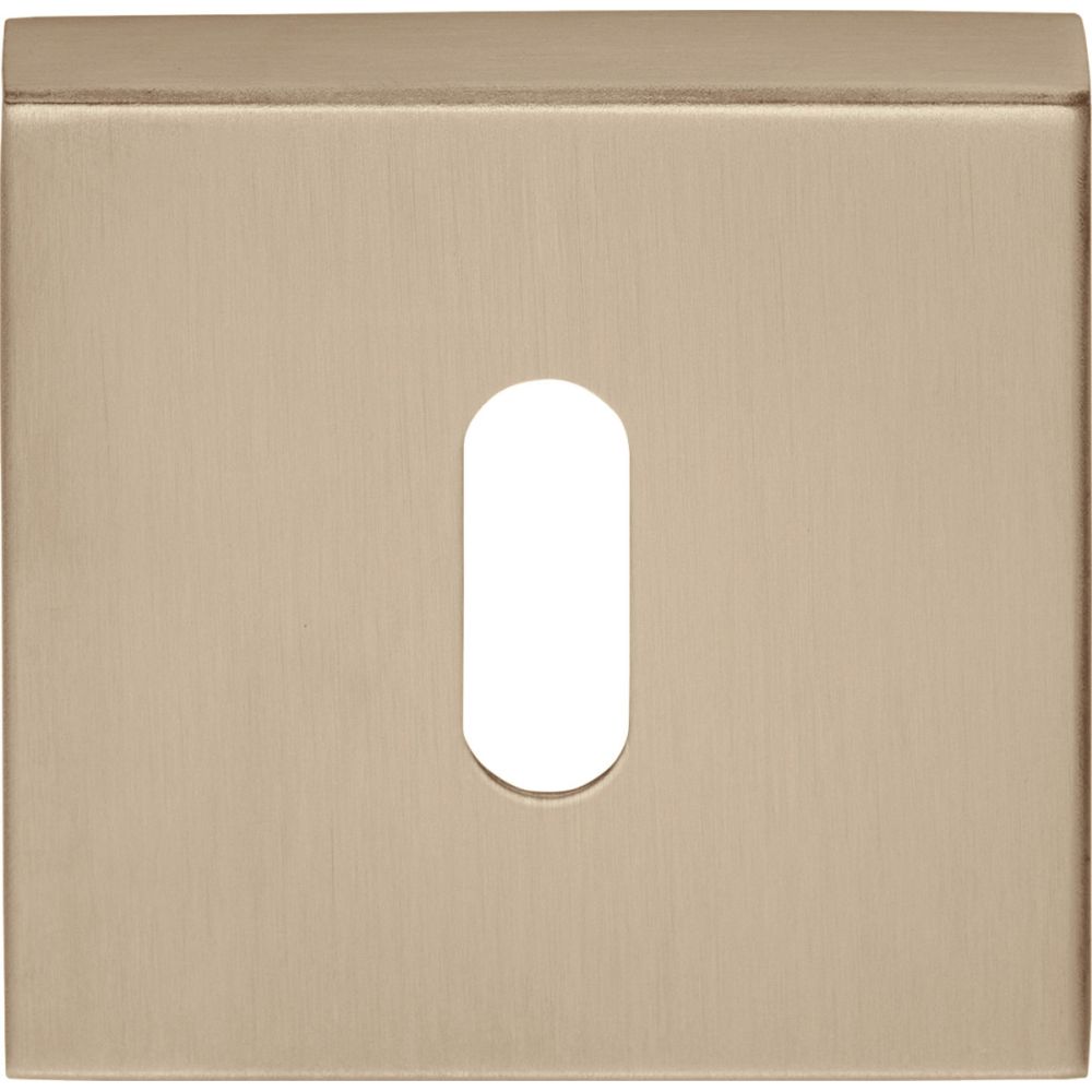 Sleutelplaatje BASICS BSQBN53 vierkant - PVD licht brons