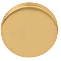 Blind plaatje BASICS LBB50 - PVD mat goud