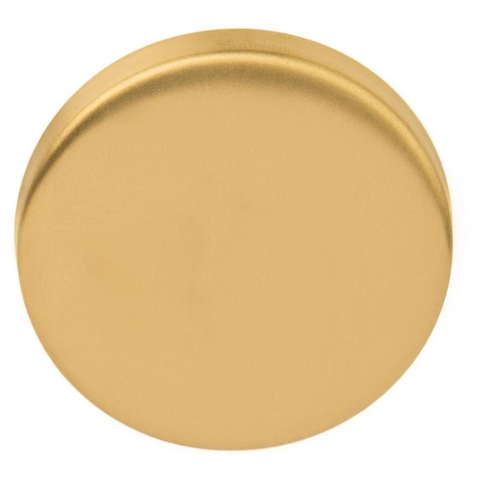 Blind plaatje BASICS LBB50 - PVD mat goud