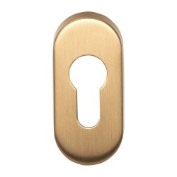 Cilinderplaatje BASICS LBY32 ovaal - PVD mat goud