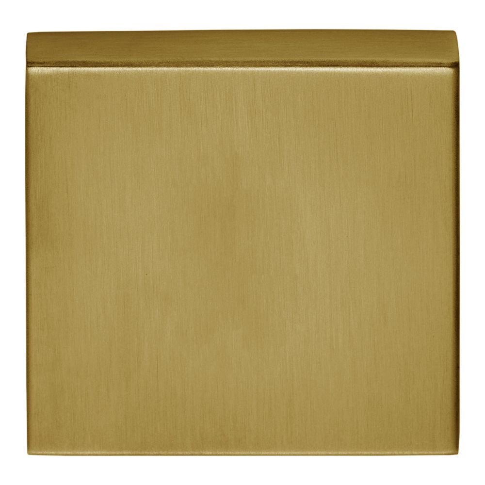 Blind plaatje BASICS BSQB53 vierkant - PVD mat goud