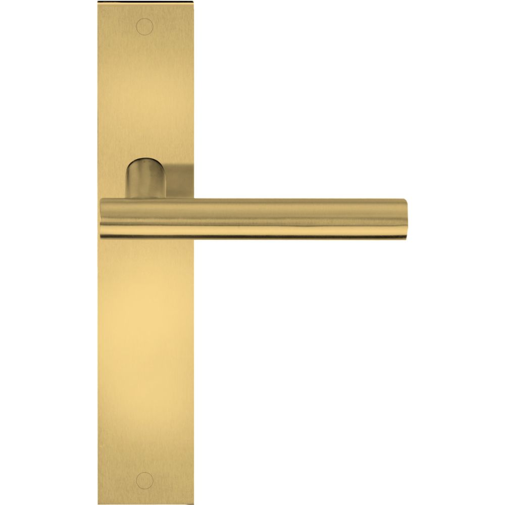 Deurkruk BASICS LB7-19P236SFC ongeveerd op schild blind - PVD mat goud