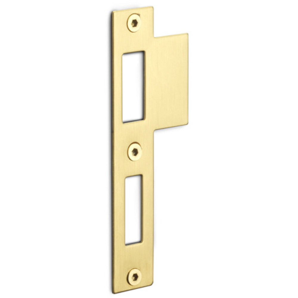 Formani Basics LBSPNYW sluitplaat tbv deursloten - PVD mat goud