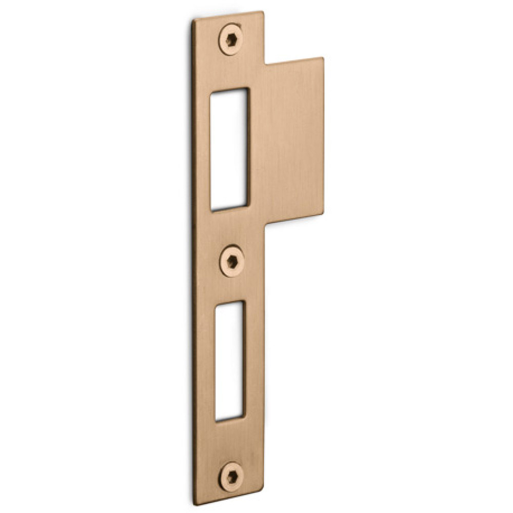 Formani Basics LBSPNYW sluitplaat tbv deursloten - PVD licht brons