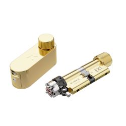 Black X Smart Lock 35/35mm-45/45mm, elektronische cilinder - messing