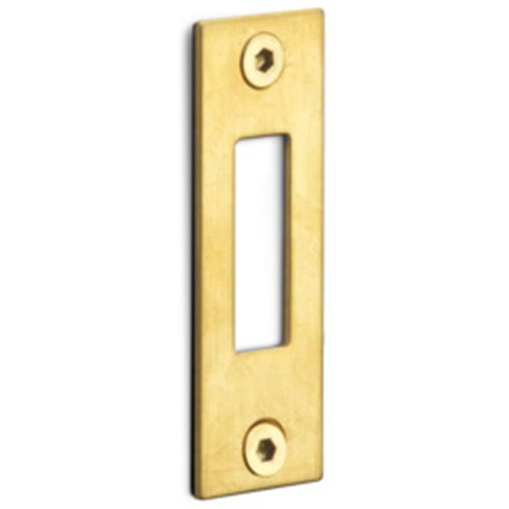 Formani Basics LBSPNYW sluitplaat tbv deursloten - PVD mat goud