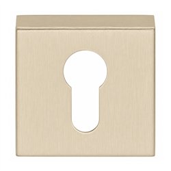 Formani Basics BSQY53 cilinderplaatje vierkant - PVD champagne