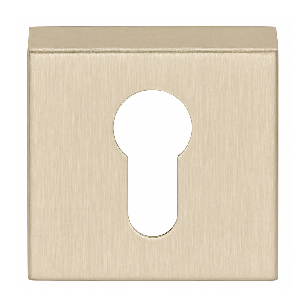 Formani Basics BSQY53 cilinderplaatje vierkant - PVD champagne
