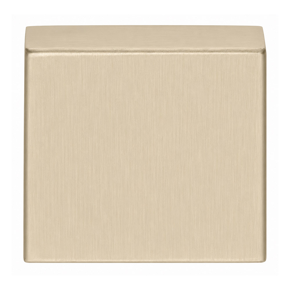 Formani Basics BSQB53 blind afdekplaatje vierkant - PVD champagne