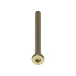 Intersteel bout 6-kant M6x80mm tbv SKG3 schild voor deurdikte 65-69mm - PVD messingkleur