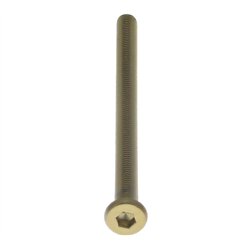 Intersteel bout 6-kant M6x100mm tbv SKG3 schild voor deurdikte 85-89mm - PVD messingkleur
